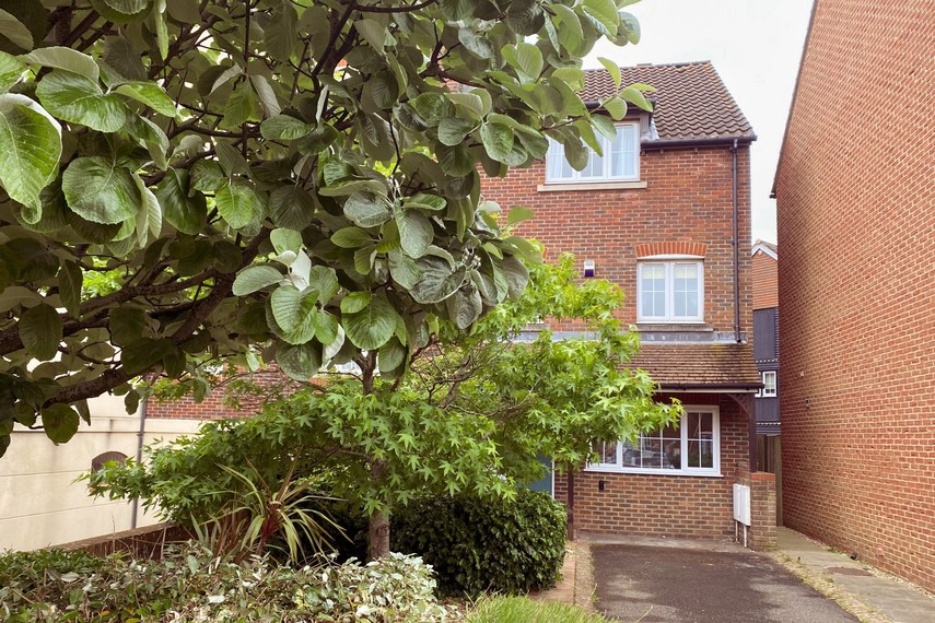 Front of house and driveway